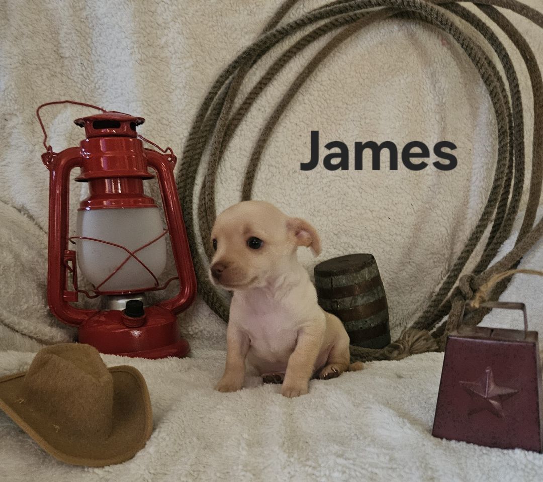 James