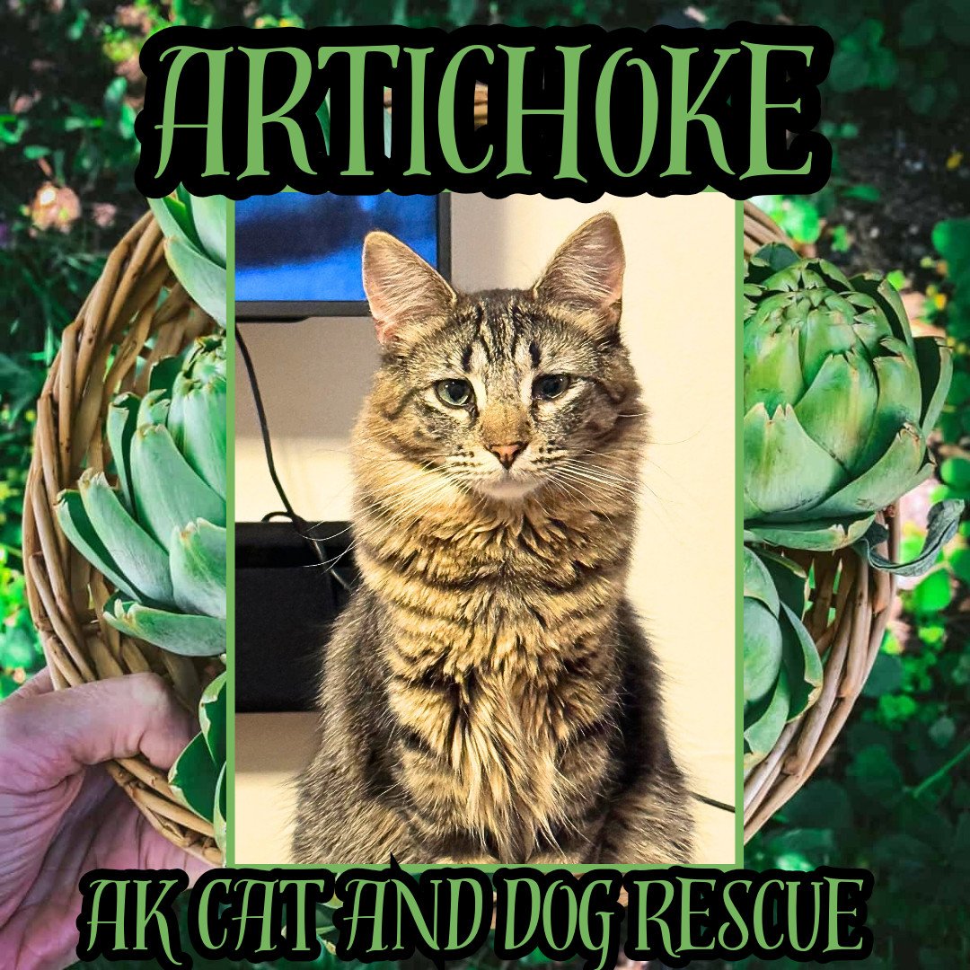 Artichoke