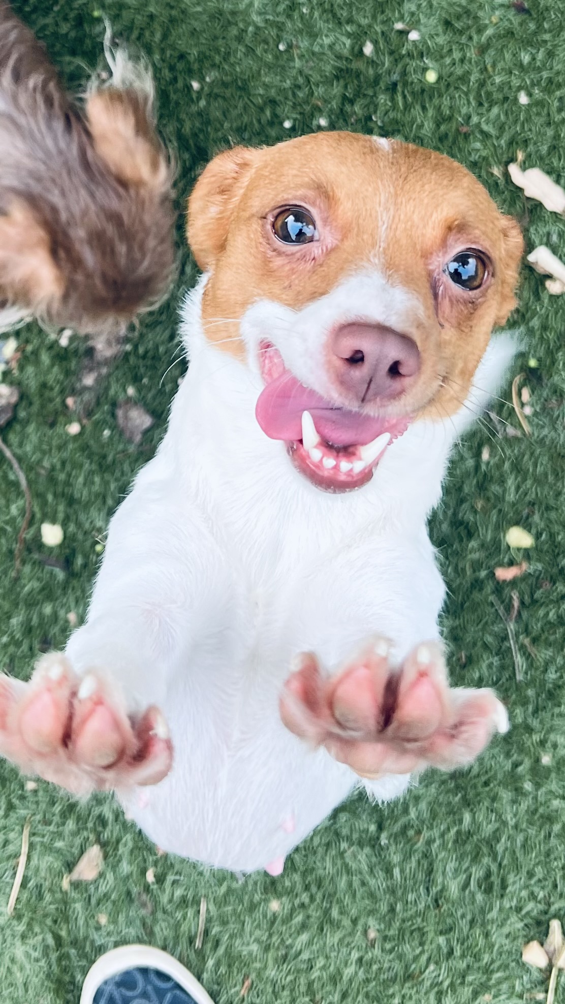 Pearl! The happiest girl!