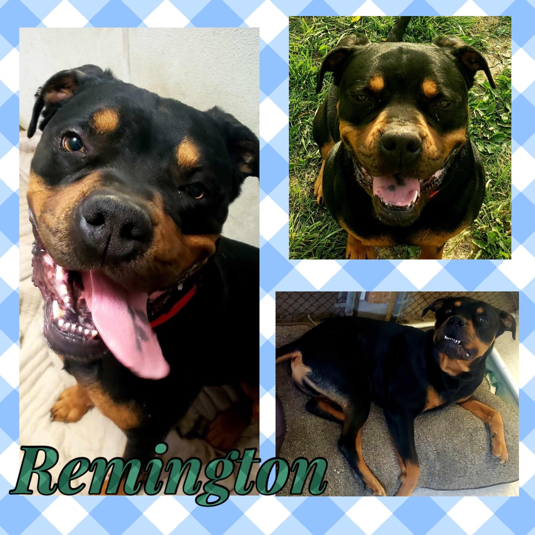 Remington