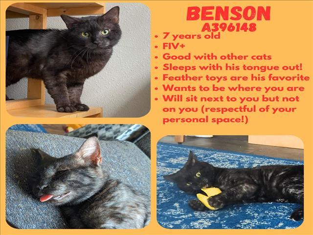 BENSON