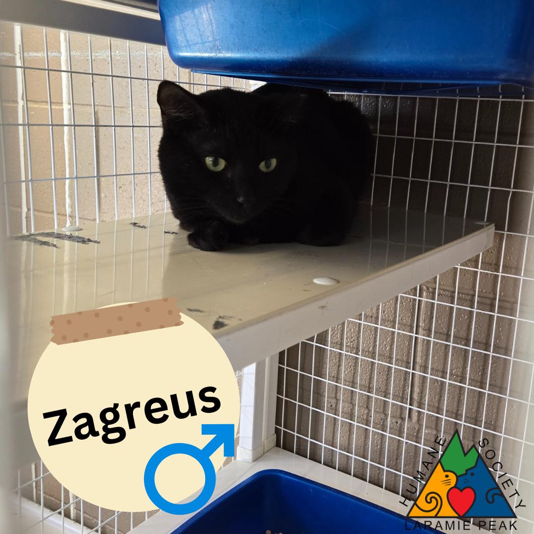 Zagreus