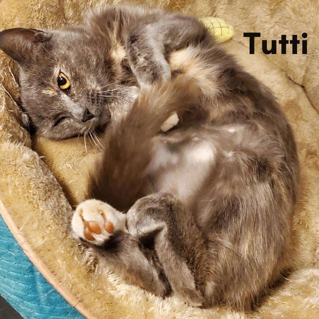 Tutti