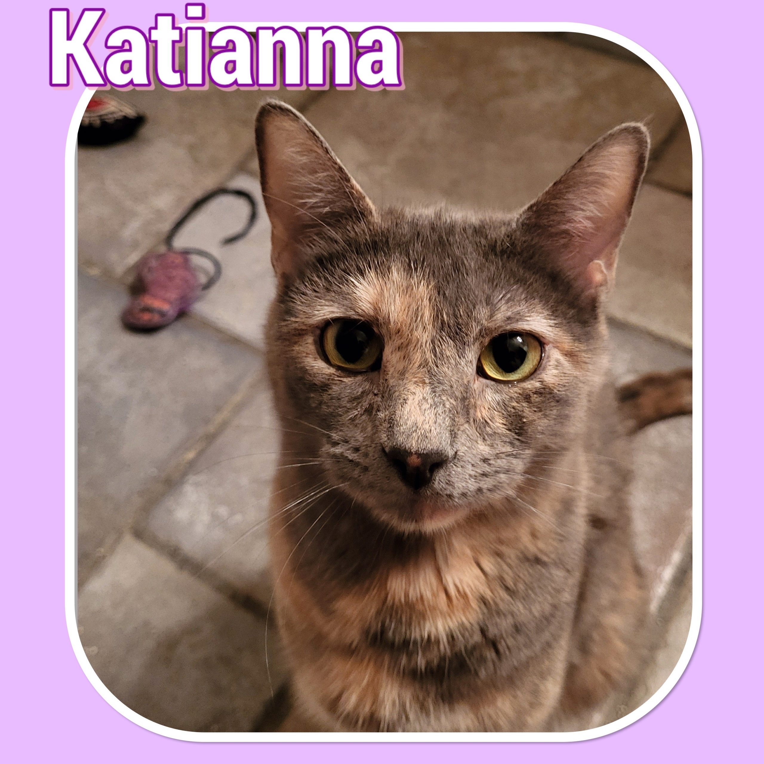 Katianna