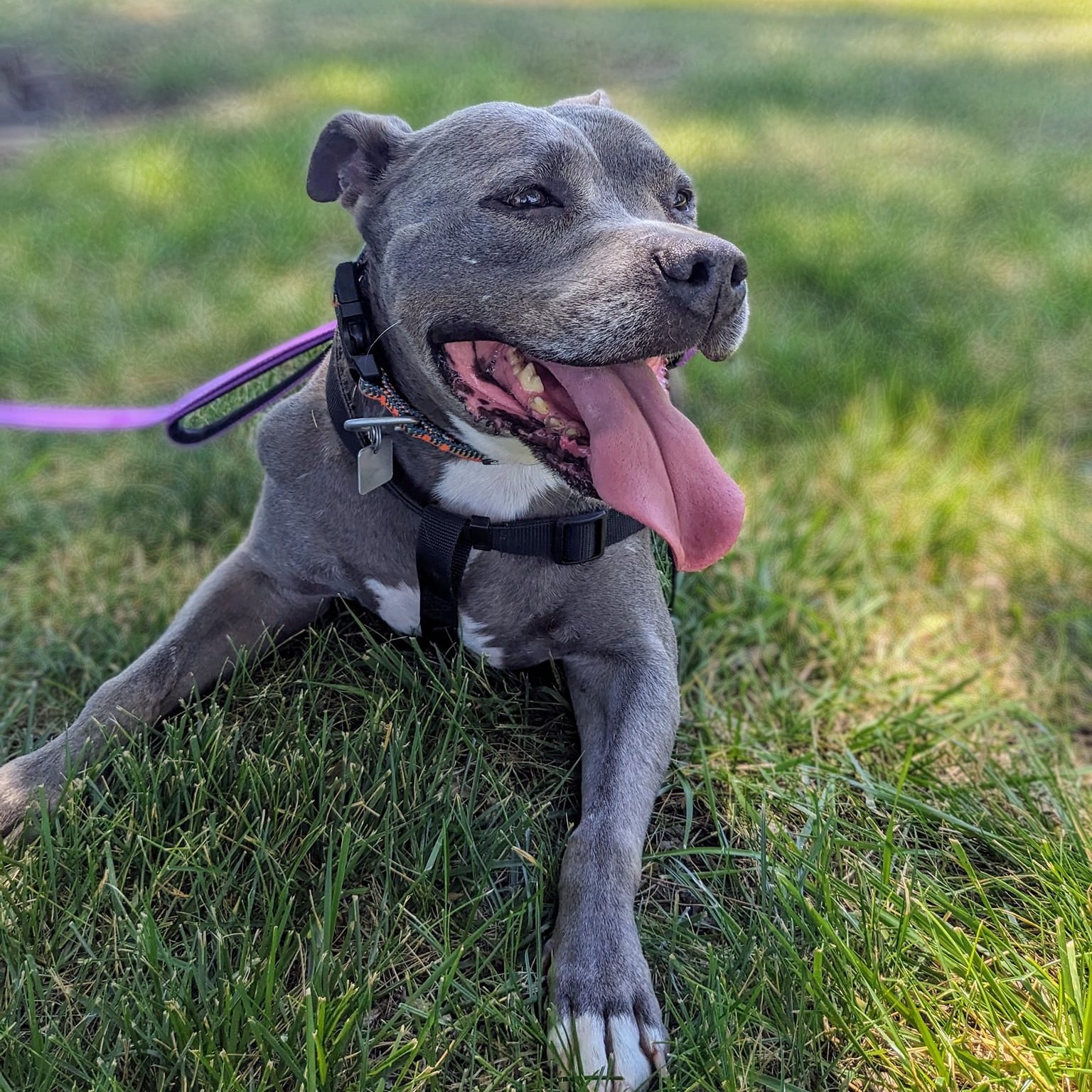 Doughboy A0055028054- IN FOSTER