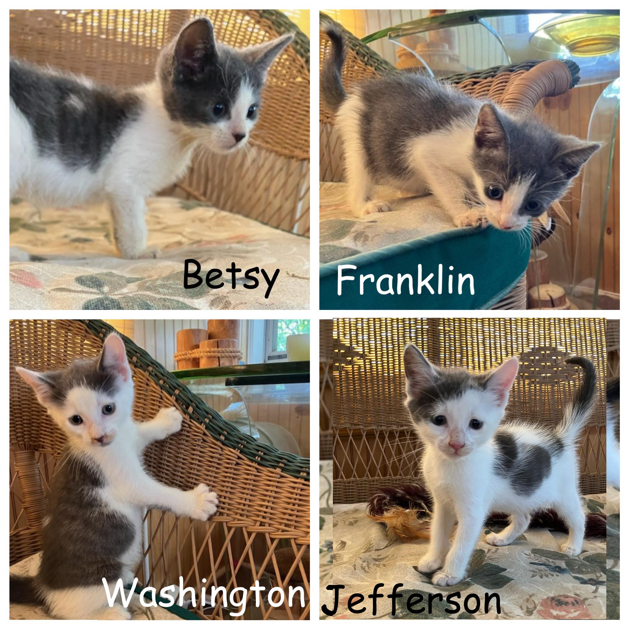 Betsy, Washington, Franklin & Jefferson