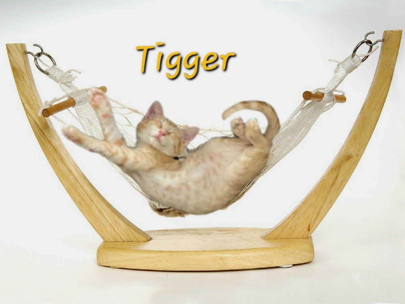 Tigger #bouncing-tigger