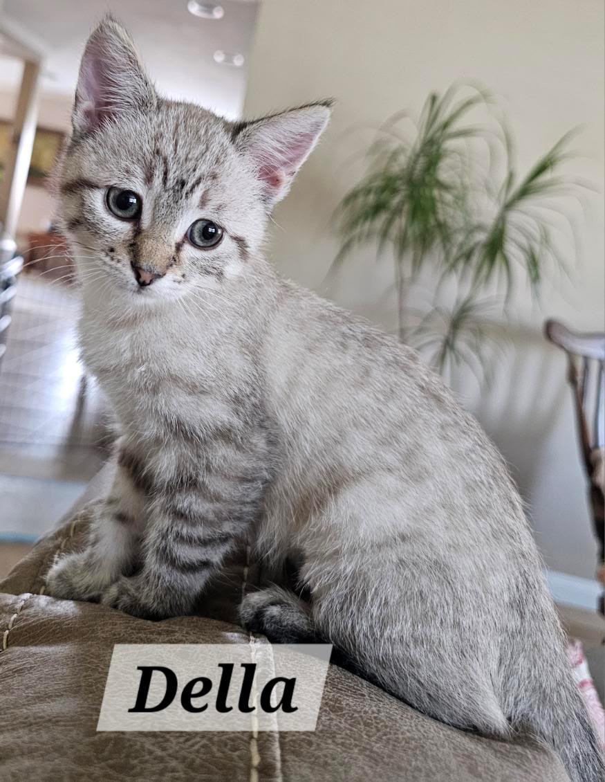 Della