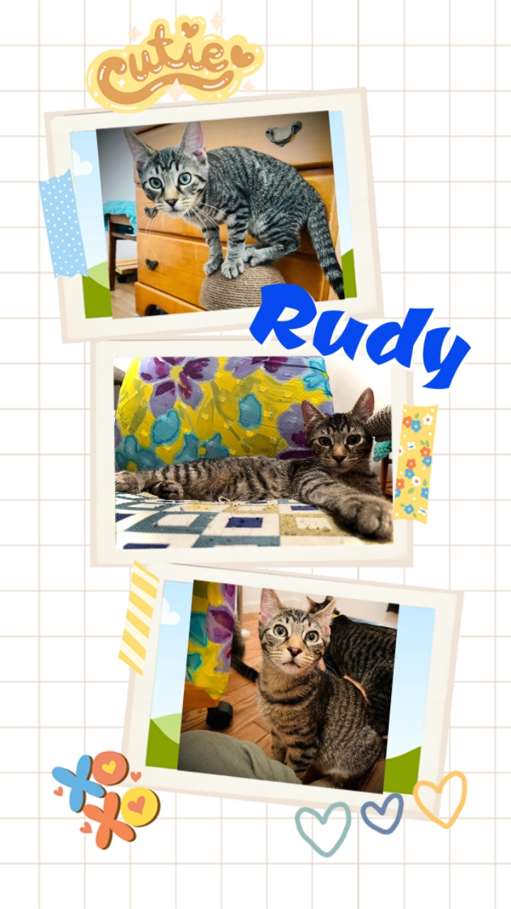 Rudy